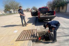 Es importante la cooperación de la ciudadanía en el tema de la limpieza de las calles, aseguran trabajadores.