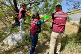 Personal de la Secretaría de Sustentabilidad Urbana y Movilidad colocó los sellos en los terrenos con maleza y basura