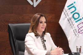 Blanca Lilia Ibarra Cadena recordó que antes de que existiera el Inai, diversas organizaciones solicitaron conocer el salario del Presidente, así como la llamada partida secreta, pero les negaron la información