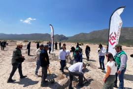 La meta para este año es plantar 40 mil agaves en más de 200 hectáreas de la Reserva Ecológica Municipal Sierra y Cañón de Jimulco, como parte de una estrategia de restauración ambiental.