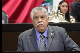 Brígido Moreno, diputado federal de Coahuila por el PT, dijo que los ciudadanos que han intentado iniciar su trámite se han enfrentado a diversas dificultades como el hecho de que la página para registrarse a veces no está en funcionamiento.