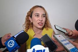 Martha Herrera señaló que la omisión de cuidados sigue siendo la principal problemática que atiende Pronnif en la Región Centro.