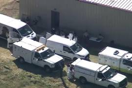 ”Estamos solicitando urgentemente ayuda pública para apoyar el rescate y rehabilitación de estos perros y gatos”, dijo en el comunicado la directora del DACC, Marcia Mayeda.