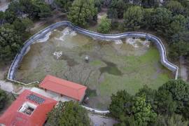 El Bosque Urbano Ejército Mexicano mantiene en revisión un proyecto integral para restaurar y reforestar su emblemático laberinto vegetal, deteriorado tras problemas en el sistema del lago artificial.