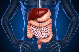 En temporada de calor y vacaciones, el consumo de bebidas refrescantes y alcohólicas suele aumentar