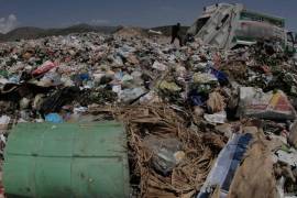 Alicia Bárcena informó que el Gobierno federal impulsa proyectos de separación y reciclaje para reducir los residuos y avanzar hacia un modelo de economía circular.