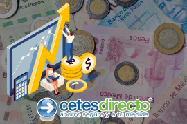 Cetesdirecto ofrece seguridad, flexibilidad y respaldo de Nacional Financiera S.N.C., siendo una excelente alternativa para inversionistas que buscan estabilidad y crecimiento financiero.