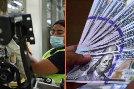 La SE busca fungir como herramienta para la toma de decisiones de política pública, la promoción de la inversión, la investigación y, en general, el mejor entendimiento sobre el comportamiento de la IED.