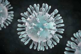 La gripe común es mucho más peligrosa que el coronavirus chino, al menos por ahora