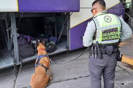 En un autobús de pasajeros fue encontrada una maleta con las pastillas de fentanilo.