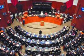 La Cámara Alta avaló cambios constitucionales que permitirían invalidar elecciones si se comprueba intervención extranjera.