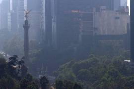 Partículas en el aire, provocado principalmente por el uso generalizado de pirotecnia, encendido de fogatas y chimeneas domésticas activaron la alarma.