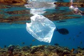 Detectan la presencia de microplásticos hasta en las entrañas de los océanos