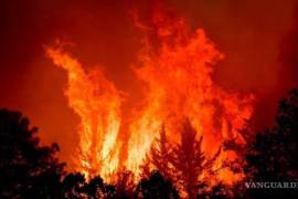 La flora y fauna endémica de Coahuila se ven amenazadas por la frecuencia de los incendios forestales en la zona.