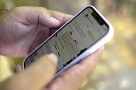 La activista de derechos humanos y servidora pública de la Secretaría de las Mujeres en Sinaloa, María Emma Zermeño López, es señalada de violencia política de género contra de la diputada local con licencia de Morena, Almendra Negrete Sánchez.