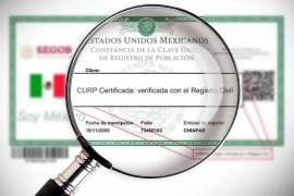 La CURP tradicional certificada es necesaria para tramitar todo tipo de documentos oficiales en México. Sin ella no podrás realizar ningún trámite ante las dependencias de la Administración Pública.