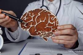 “Las demencias son progresivas, irreversibles y, hasta el momento, incurables, solamente se puede dar tratamiento paliativo y para ralentizar el deterioro cognitivo”, explicó.