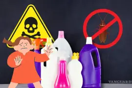 Durante la temporada de lluvias, la aparición de cucarachas dentro del hogar se vuelve un problema común, además de los habituales encharcamientos o afectaciones viales.