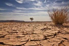 El ritmo de consumo humano ya superó la capacidad de regeneración del planeta. Este desequilibrio compromete el agua y los alimentos, impulsando al sistema financiero hacia un terreno frágil.