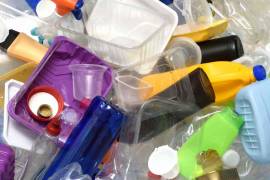 ONG's dicen &quot;no&quot; al acuerdo que propone Monreal, sobre plásticos y medio ambiente
