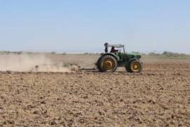 Agricultores de Coahuila advierten afectaciones en cultivos ante la discusión sobre el pago de agua a Estados Unidos.