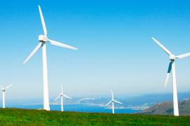 Día Mundial del Medio Ambiente: México atraviesa un momento crítico en materia de energías renovables, advierte la WWF