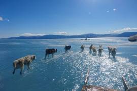 Con esta imagen un investigador documenta los efectos del deshielo en Groenlandia