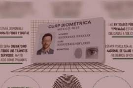 Especialistas en inclusión social han advertido que estas condiciones pueden dificultar el acceso al nuevo documento.