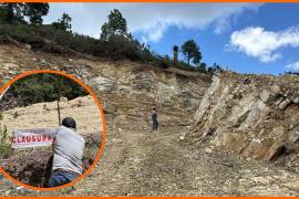 POLITICÓN: 10 mil metros de bosque talados en Arteaga y el municipio... sin ver nada