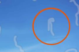 Las moscas volantes o “floaters” se vuelven más visibles al mirar fondos brillantes como el cielo o las pantallas. Conoce cuándo esta alteración visual requiere atención médica.