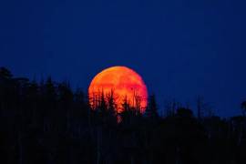 Un eclipse lunar total teñirá la Luna de rojo durante la madrugada del 3 de marzo de 2026. El fenómeno será visible en todo México sin necesidad de equipo especial