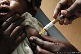 Advierte OMS más muertes por malaria