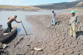 Urge ONU medidas para frenar la desertificación; Bill Gates pide innovar en agricultura
