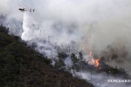 La Conafor advirtió de 10 municipios con zonas forestales que están en riesgo de incendio.