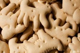 Veganos piden retirar las galletas de animalitos porque fomentan maltrato animal