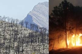 El incendio de La Pinalosa compromete equilibrio natural