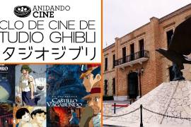 La oferta cultural del MUSAVE ha sido clave para el fomento educativo sobre el conocimiento de las aves de todo el mundo.