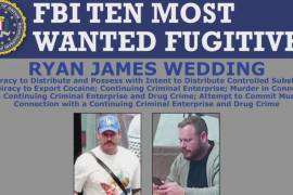 Parte de las motocicletas de alta gama aseguradas por autoridades federales durante los cateos realizados en inmuebles vinculados con Ryan Wedding.