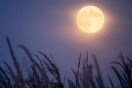 La Luna llena de Cosecha iluminará el cielo de México durante la noche de este sábado 26 de septiembre.