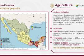 El despliegue sanitario contra el gusano barrenador del ganado, realizado de manera conjunta por México y Estados Unidos, ha protegido a más de 5,700 unidades de producción y evitado la propagación de la plaga en la frontera norte, generando un ahorro multimillonario para ambos países.