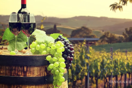 Visitantes podrán disfrutar de la combinación de turismo enológico y paleontológico en Ramos Arizpe.