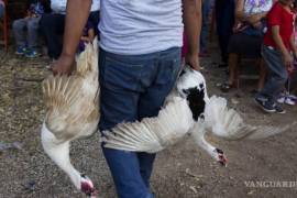 La Primera Sala de la SCJN declaró constitucional los artículos de la Ley de Protección a los Animales de la Ciudad de México, así como de otras entidades federativas, para sancionar el maltrato y crueldad animal.