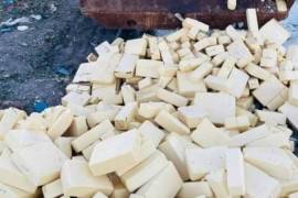 Destruyen 10.6 toneladas de queso menonita contaminado en Chihuahua