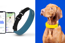 La empresa Invoxia presentó el collar inteligente para mascotas que monitorea la salud de tu perro, geolocalización y potenciales problemas de salud