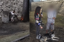 Armando relató que su perro lo alejó del sitio exacto de la explosión en Iztapalapa, lo que le salvó la vida mientras sus compañeros en situación de calle perdieron la suy