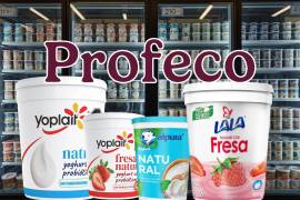 La Profeco hizo un estudio de calidad sobre diferentes marcas de yogur.