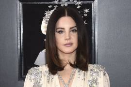 Lana Del Rey &quot;está bien&quot; después de que Fan intentó secuestrarla