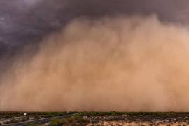 El polvo del Sahara se aproxima a México. Conoce las entidades afectadas y sus posibles efectos en la salud.
