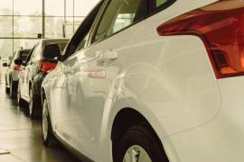 El RAIAVL integra los resultados de 22 empresas afiliadas a la Asociación Mexicana de la Industria Automotriz, A. C. (AMIA), y 8 empresas no afiliadas, las cuales comercializan 44 marcas que producen y/o comercializan en México.