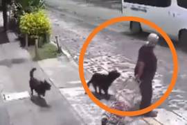 Una mujer de la tercera edad sufrió el ataque de tres perros, hecho que fue grabado y se ha vuelto viral en redes sociales.